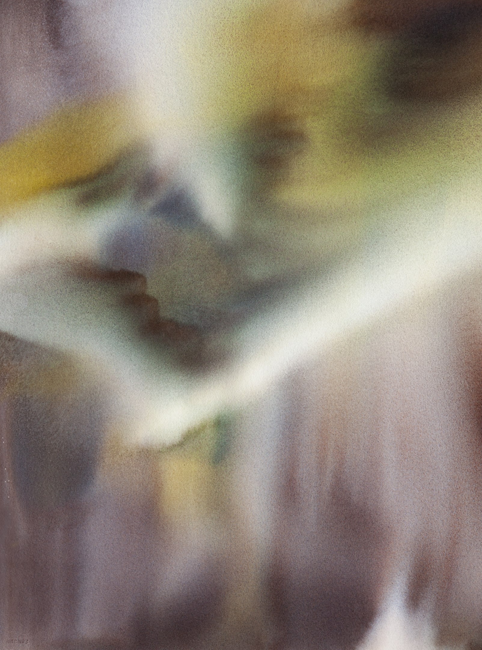 Web 1